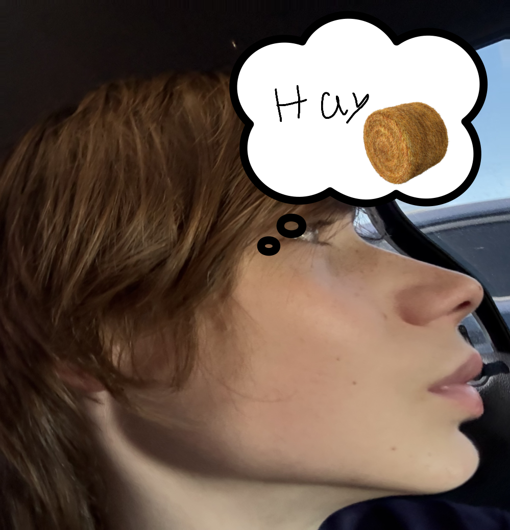 Untitled219_20251020142700.png