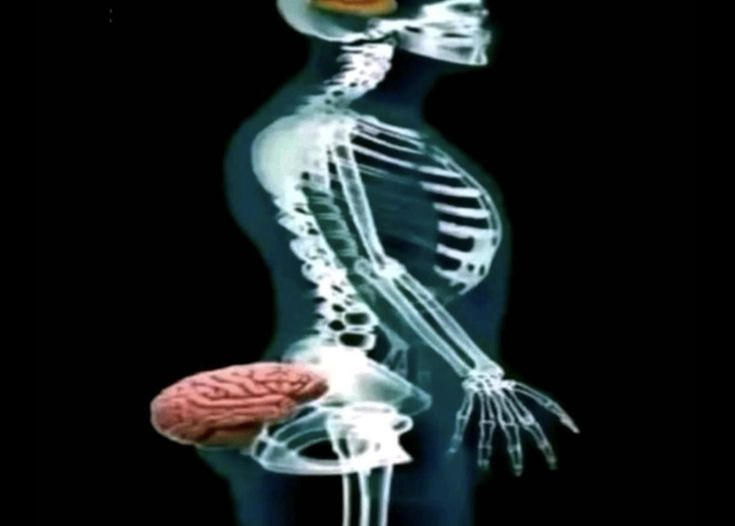 1de67bca554c05ddf781fa46e27bb1c7 (2).jpg