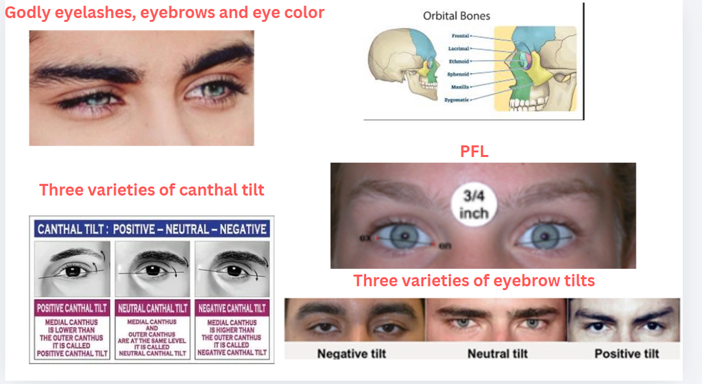 Screenshot 2026-02-21 161341.png