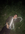 IMG_0792.jpeg