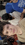 IMG_2023.jpeg