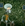Screenshot_20260520-113509.jpg