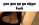 troll_caption.gif
