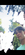 IMG_6892.jpeg