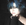 IMG_8953.jpeg