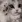 HappyCat :HappyCat: :HappyCat: